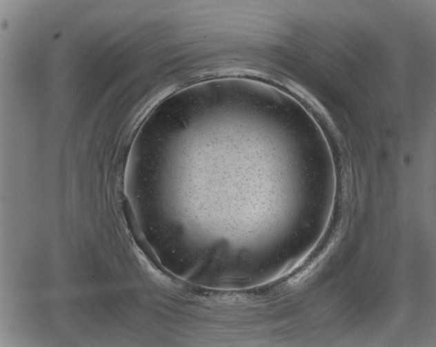 X0000062130801200512161150