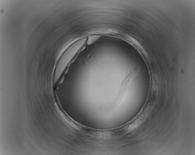 X0000062130802200512161150