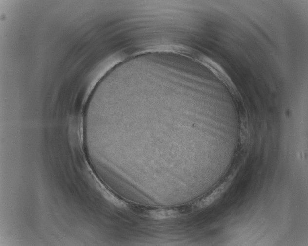 X0000062130804200512161150