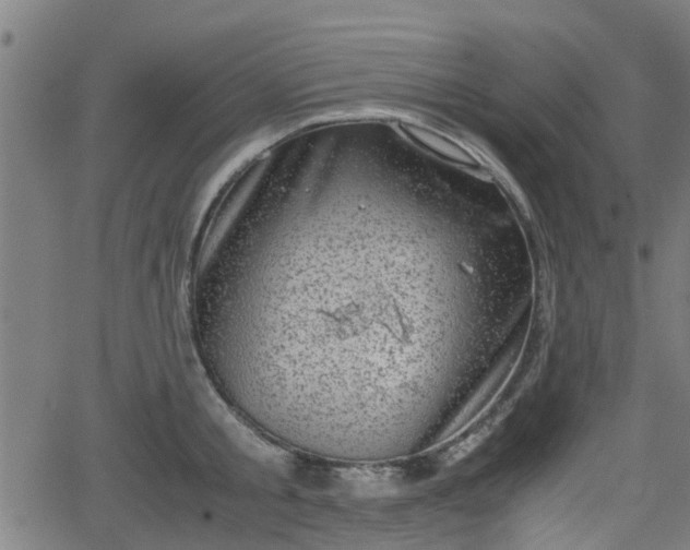 X0000062130805200512161150