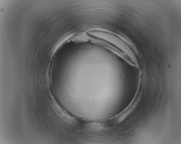 X0000062130806200512161150