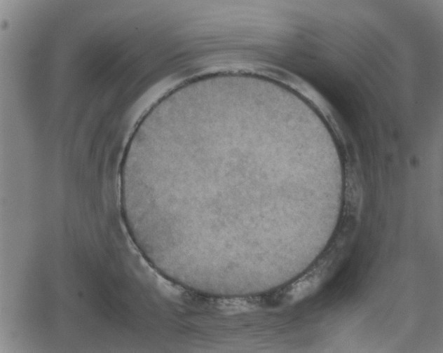 X0000062130807200512161150