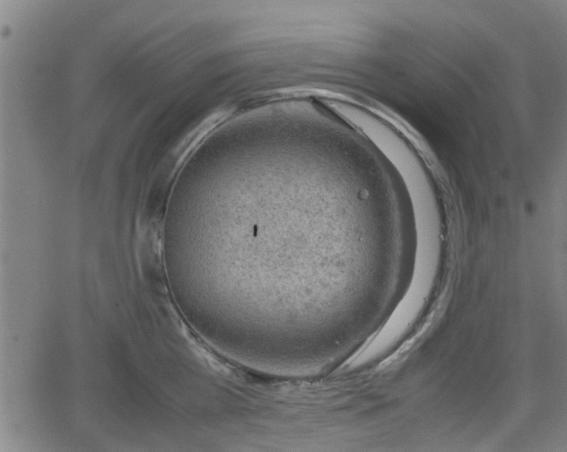 X0000062130809200512161150