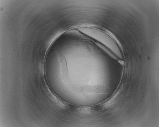 X0000062130810200512161150