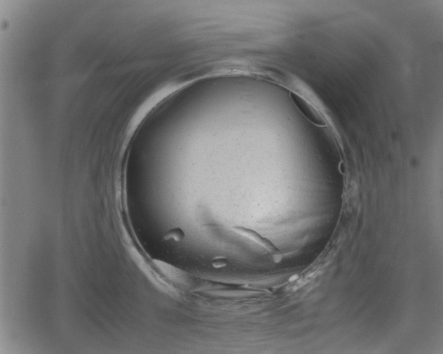 X0000062130811200512161150