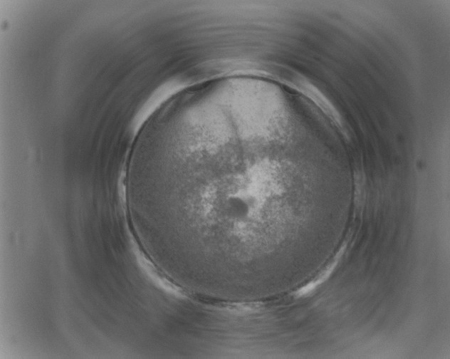 X0000062130814200512161150