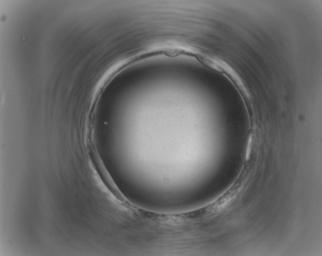 X0000062130815200512161150