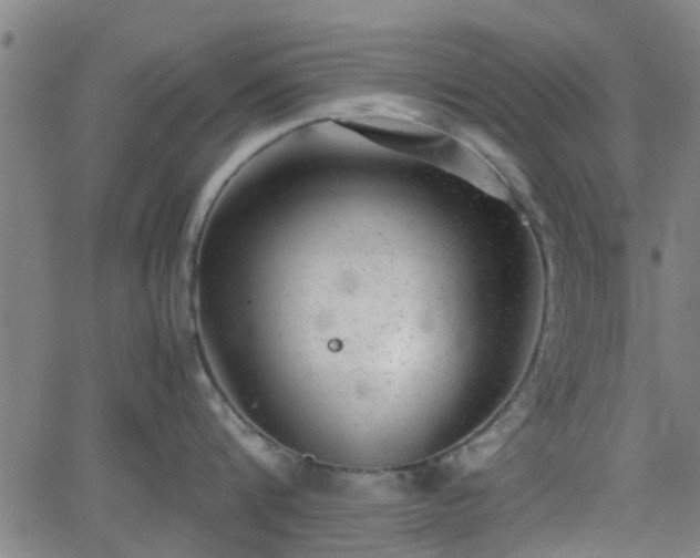 X0000062130816200512161150