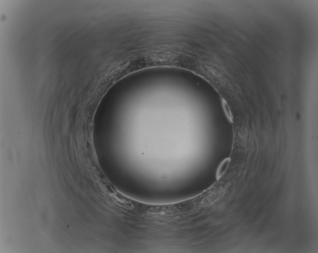 X0000062130817200512161149