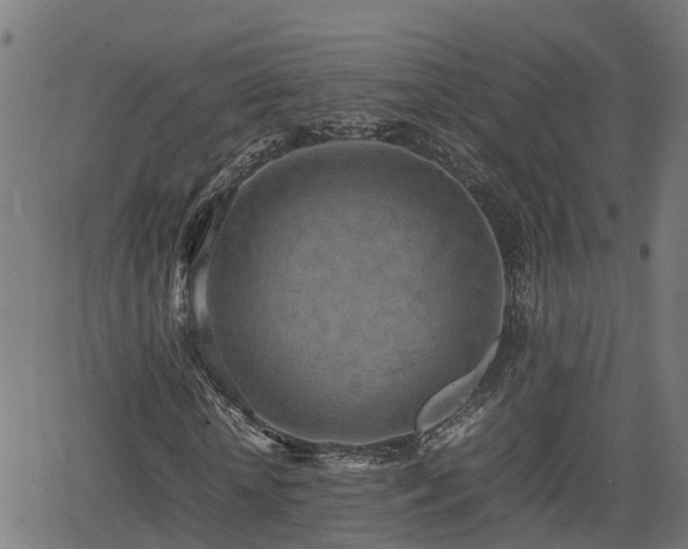 X0000062130818200512161149