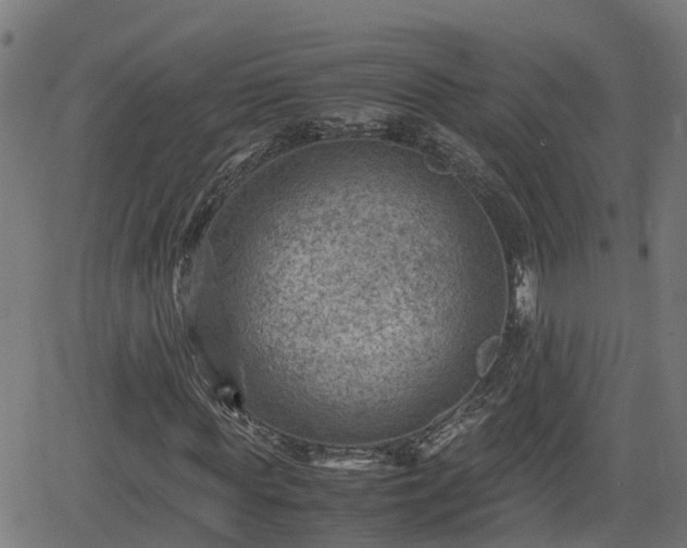 X0000062130819200512161149