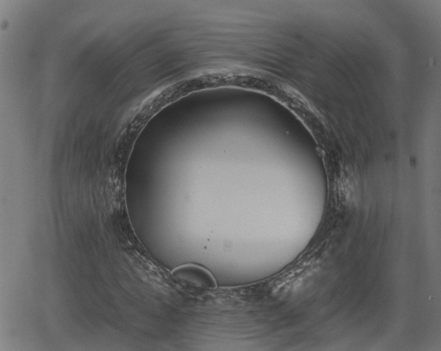 X0000062130822200512161149