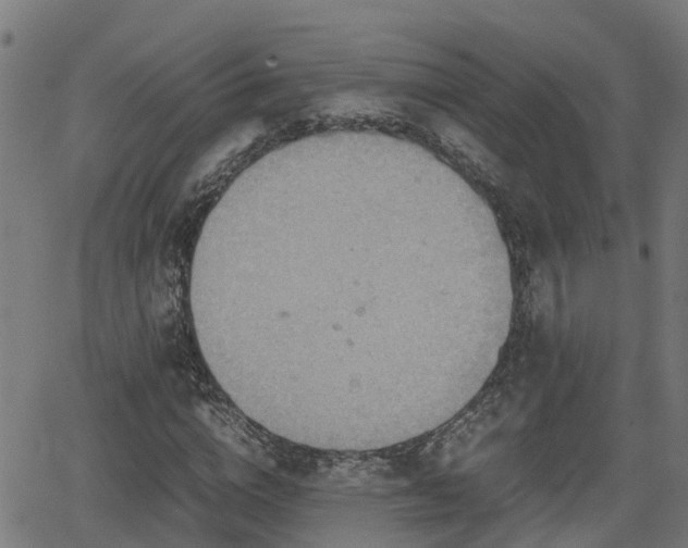 X0000062130824200512161149