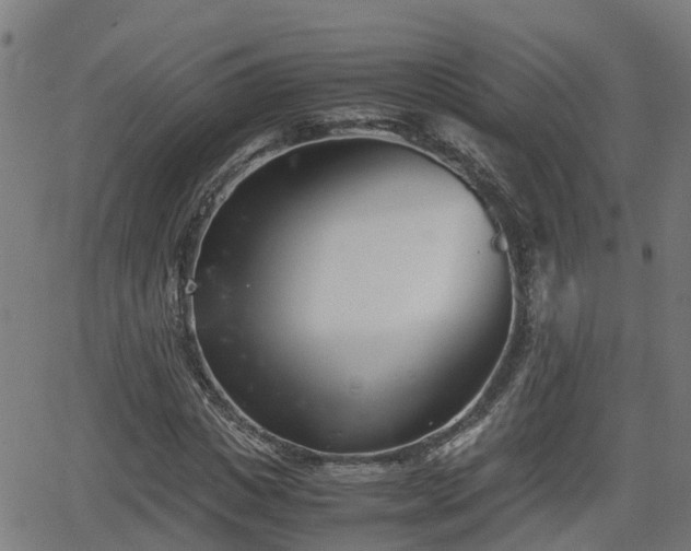 X0000062130825200512161149