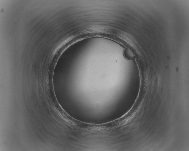 X0000062130826200512161149