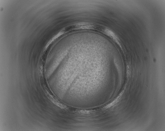 X0000062130827200512161149