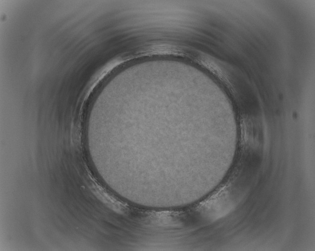 X0000062130828200512161149