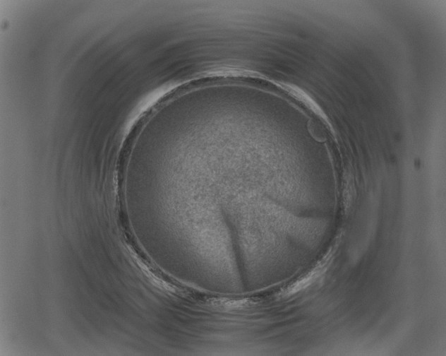 X0000062130831200512161149