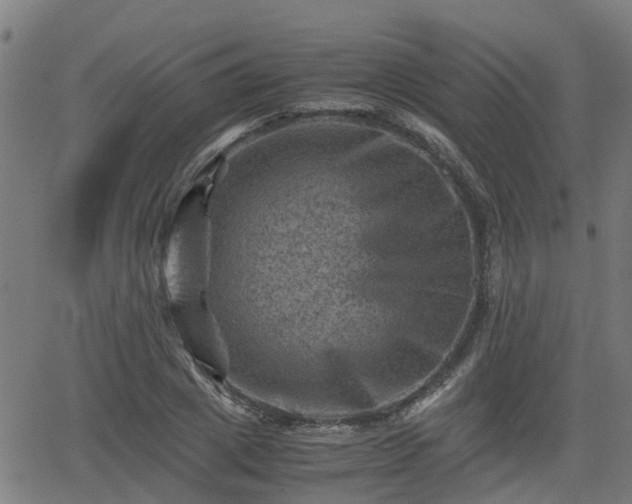 X0000062130833200512161149