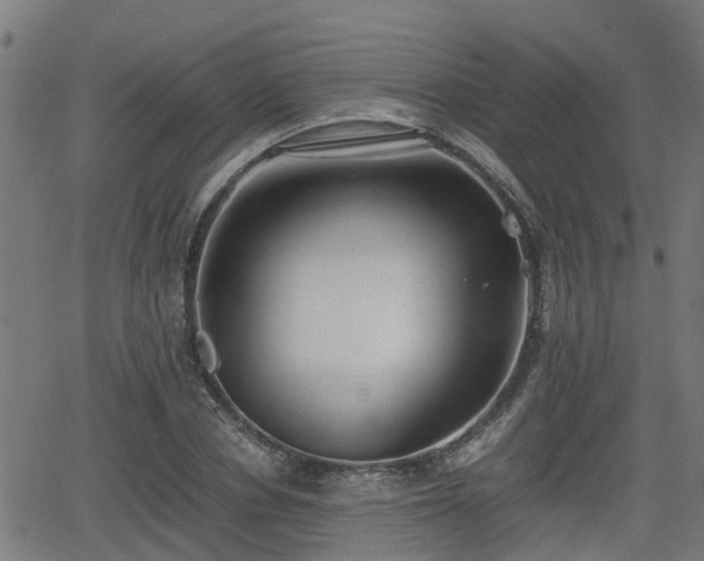 X0000062130834200512161149