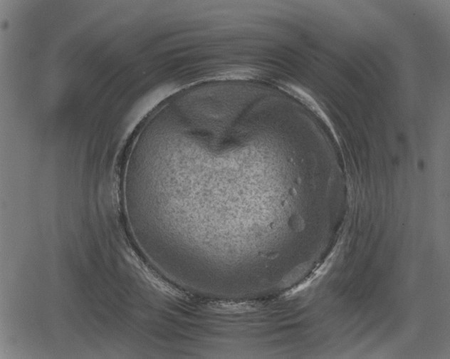 X0000062130835200512161149