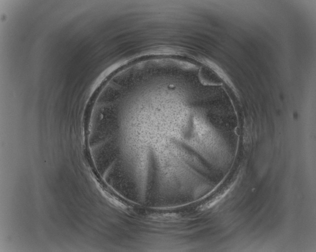 X0000062130837200512161150