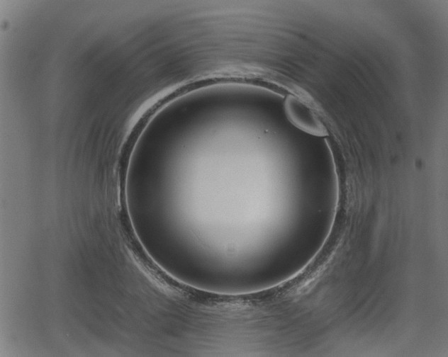 X0000062130838200512161150