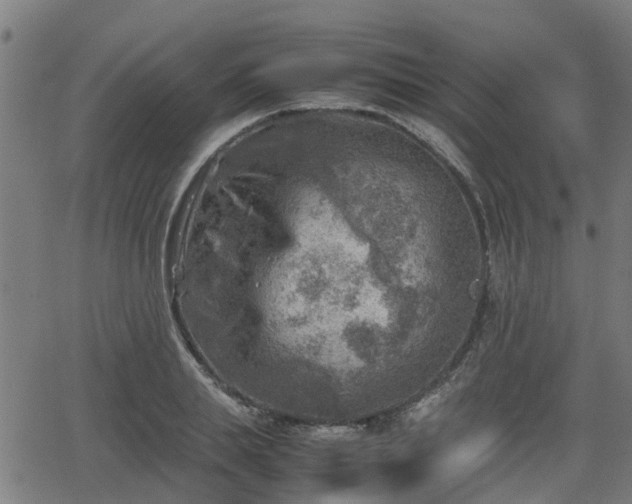 X0000062130839200512161150