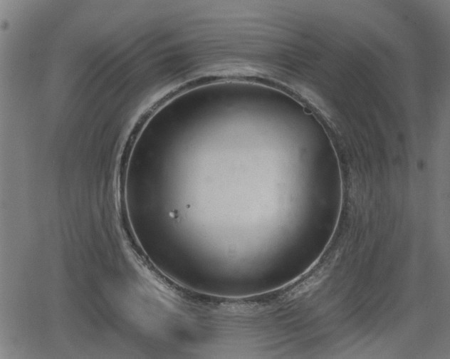 X0000062130840200512161150