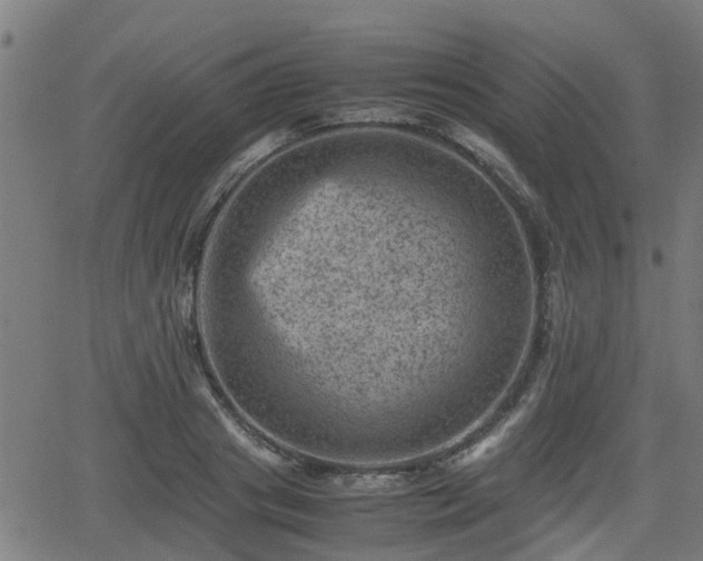 X0000062130841200512161150