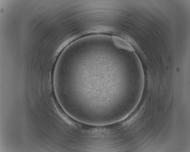 X0000062130842200512161150