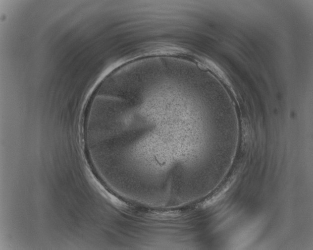 X0000062130843200512161150