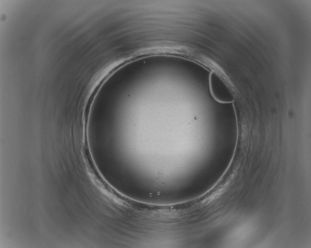 X0000062130844200512161150