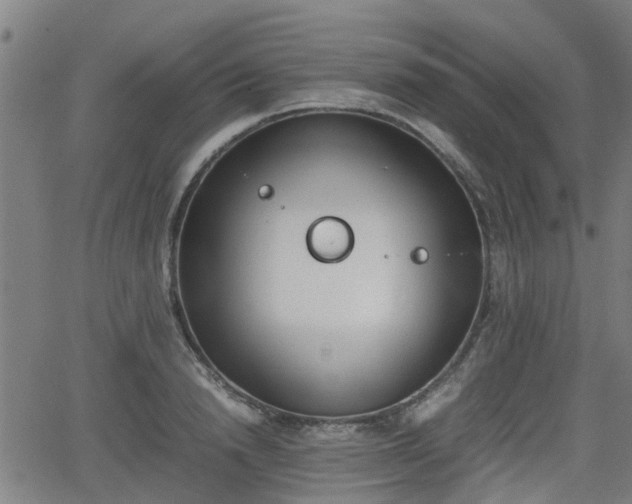 X0000062130846200512161150