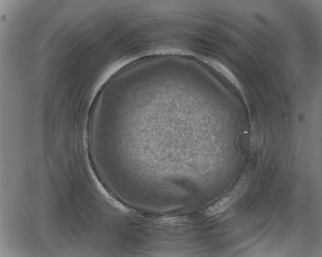 X0000062130847200512161150