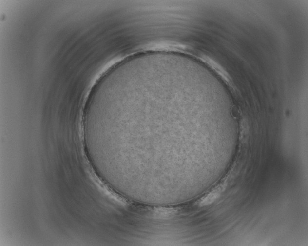 X0000062130848200512161150