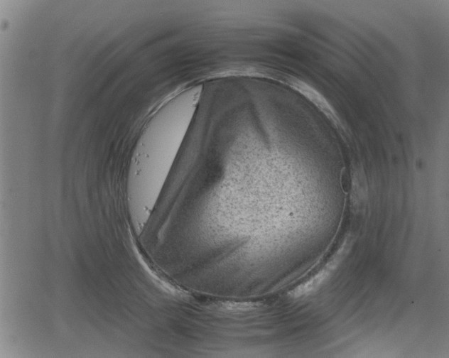 X0000062130849200512161150