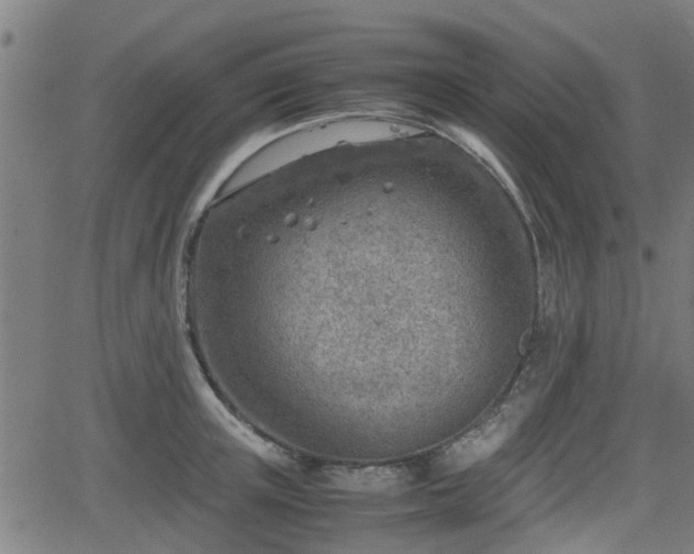 X0000062130851200512161150