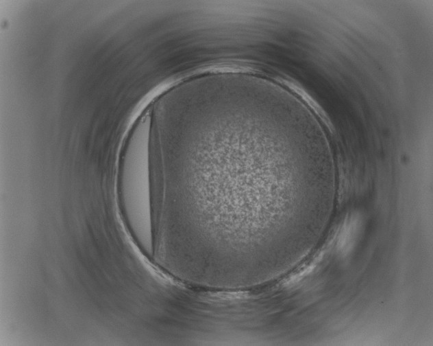 X0000062130853200512161150