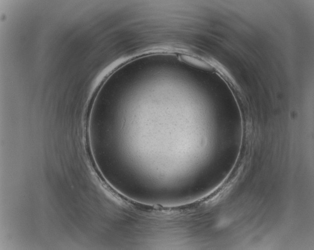 X0000062130854200512161150