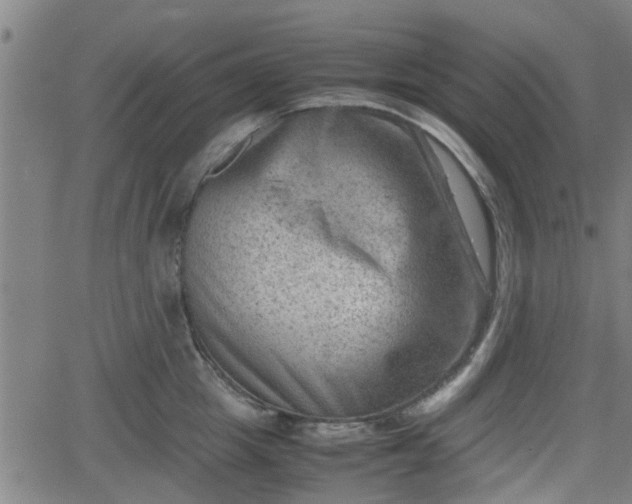 X0000062130857200512161150