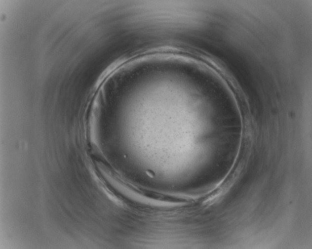 X0000062130858200512161150