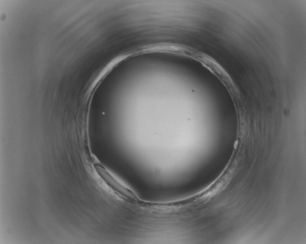 X0000062130860200512161150