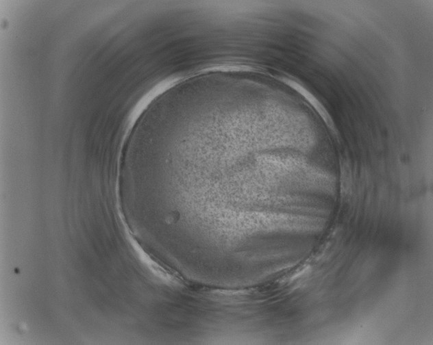 X0000062130861200512161150