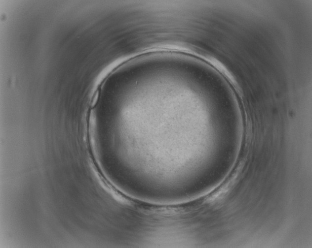 X0000062130862200512161150