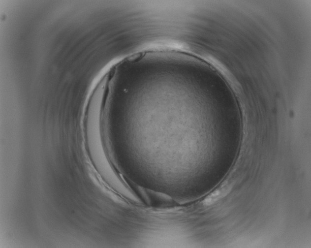 X0000062130864200512161150