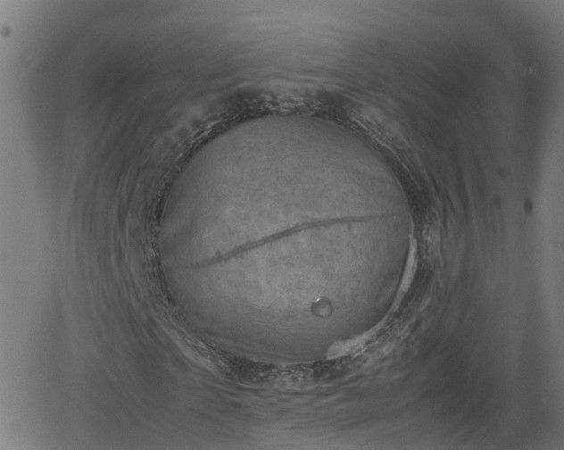 X0000062130865200512161149