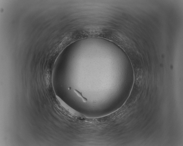 X0000062130866200512161149