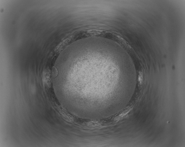 X0000062130867200512161149