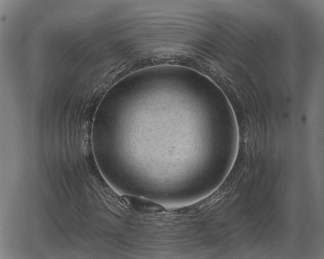 X0000062130868200512161149